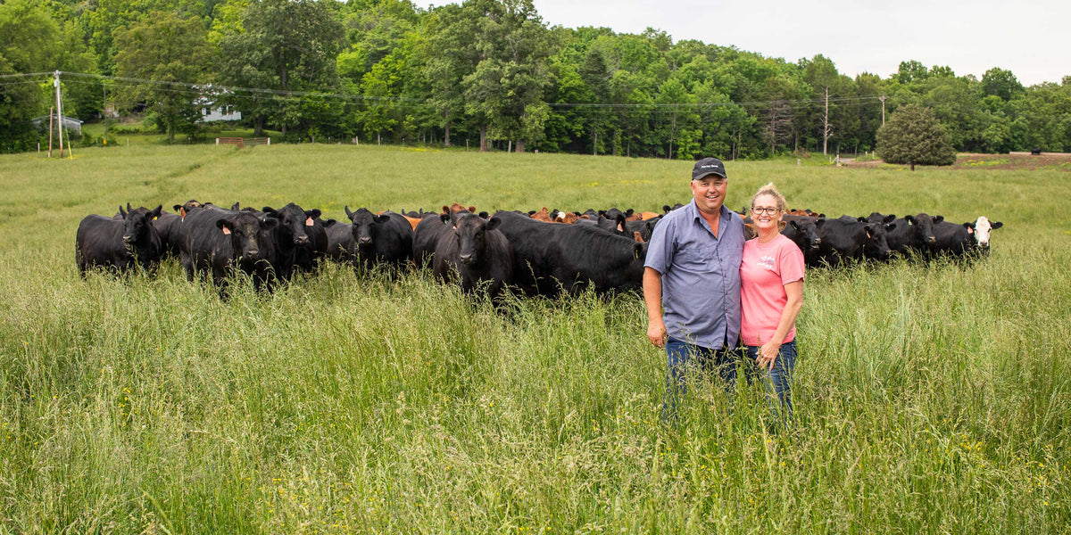 A smiling farmer couple standing in green pasture in front of their beef cattle